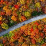 Golden Years, Golden Leaves: Top Late-Season Autumn Trips Golden Years, Golden Leaves: Top Late-Season Autumn Trips